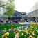 Riverside Market in Christchurch, New Zealand near a garden with trees, Iceland poppies and seagulls scattered on the grass